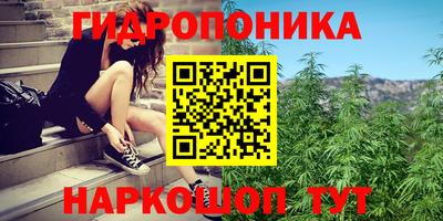 ALPHA PVP Кинель