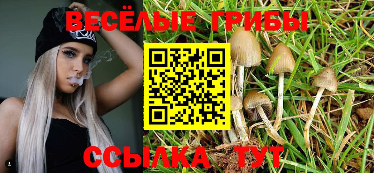 Псилоцибиновые грибы GOLDEN TEACHER  Вход с VPN  Галлюциногенные грибы MAGIC MUSHROOMS  Балашов 