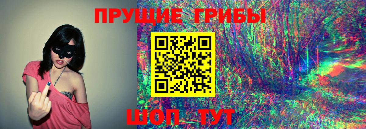 Галлюциногенные грибы Psilocybine cubensis Балашов